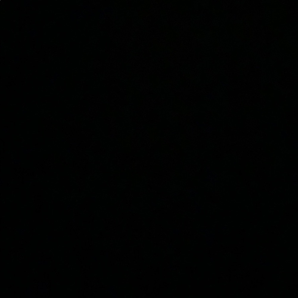 Meet your Posher, Evangeline